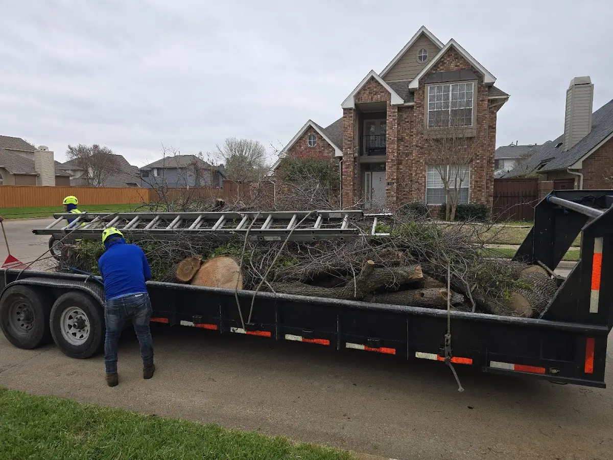 Expert Tree Removal with proper safety equipment in Ashuelot